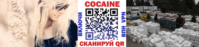 КОКАИН Fish Scale  Купить закладки  Снежногорск 