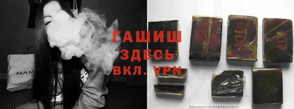 СК Алексин