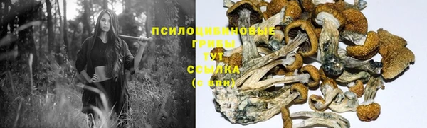 бошки Алексеевка