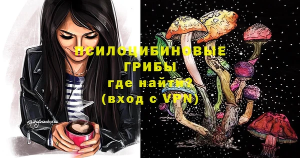ГАЛЛЮЦИНОГЕННЫЕ ГРИБЫ Арсеньев