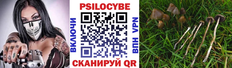 Галлюциногенные грибы GOLDEN TEACHER  Купить где  Снежногорск 
