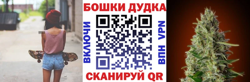 Купить закладки  Снежногорск  Марихуана THC 21% 